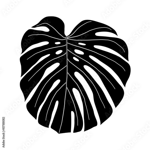 monstera leaf black and white
