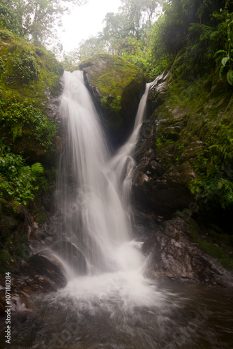 waterfall in ruwenzori mountains  uganda