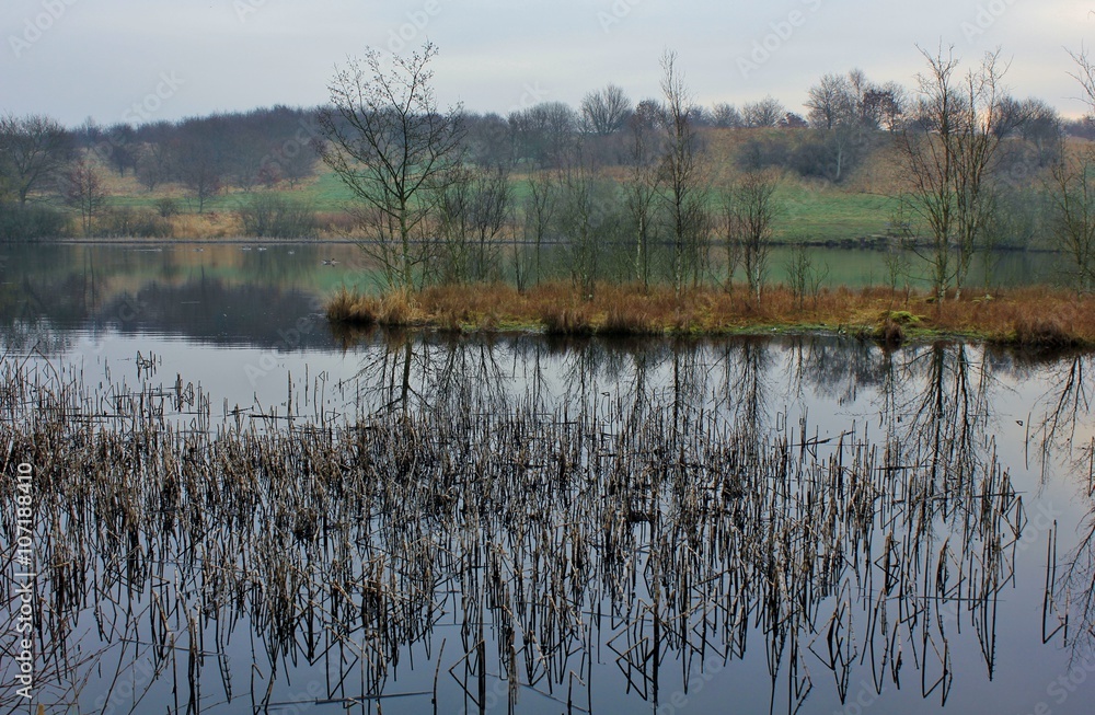 Beautiful lake with small island at dawn Beautiful lake with small island at dawn