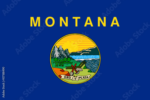 USA State Flag