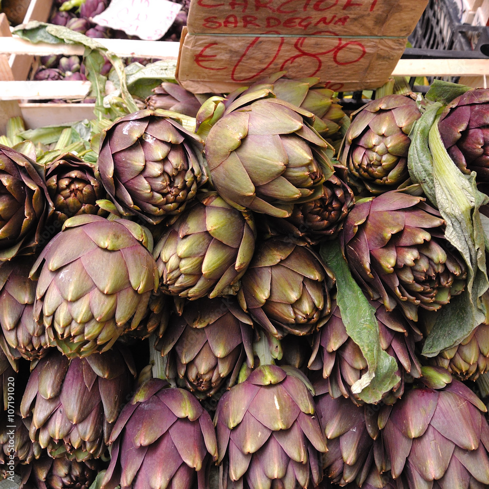 Fototapeta premium アーティチョーク