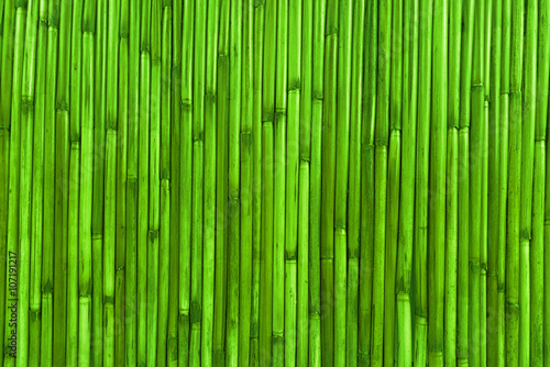 Green bamboo fence