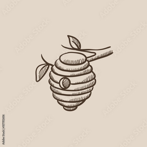 Bee hive sketch icon.