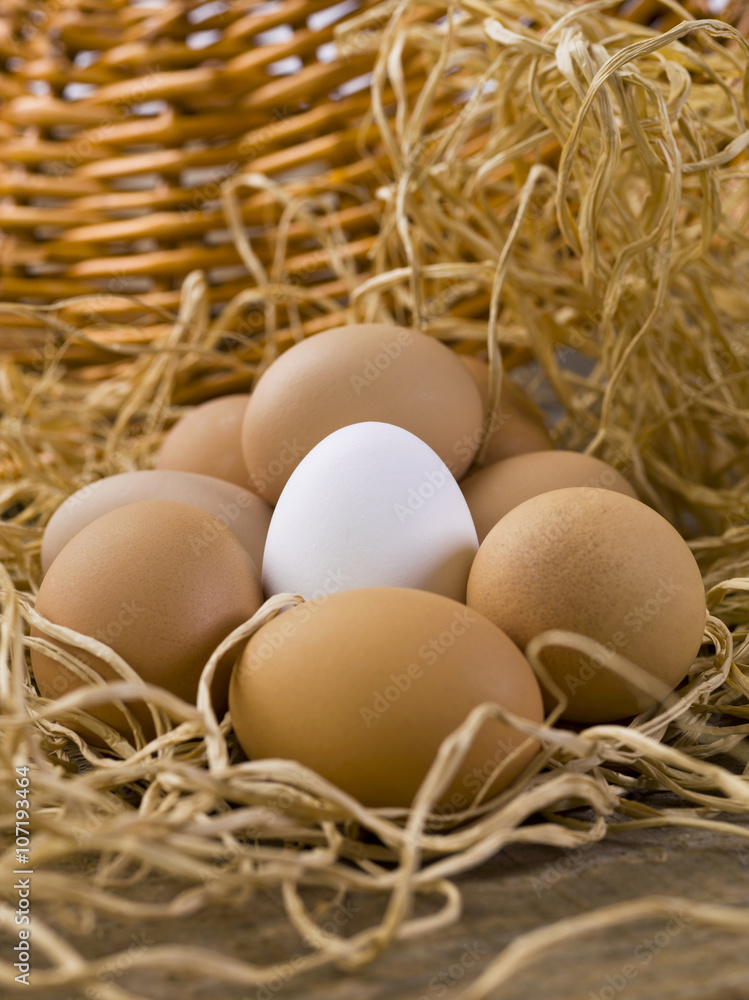 white eggs with brown eggs