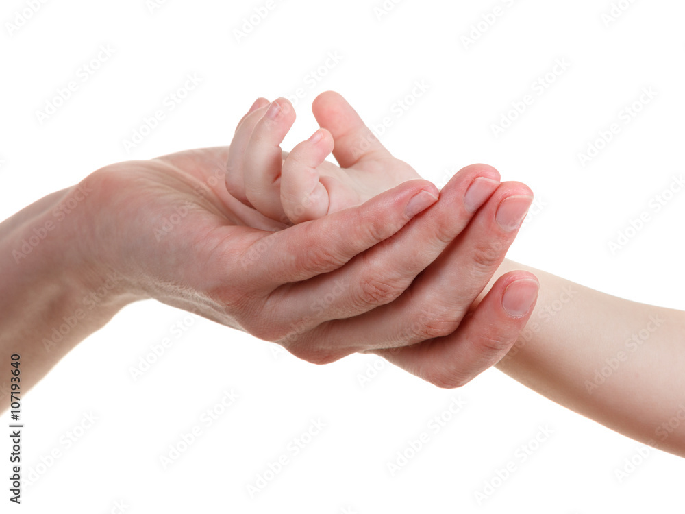 Baby and mothers hands isolated on white Baby and mothers hands isolated on white