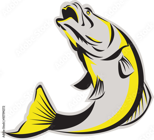 Barramundi Fish Jumping Up Isolated Retro