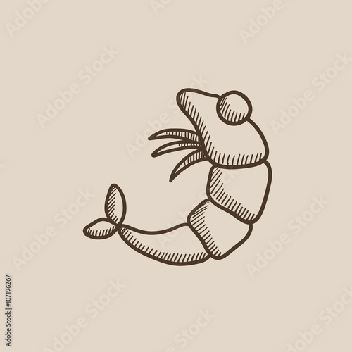 Shrimp sketch icon.