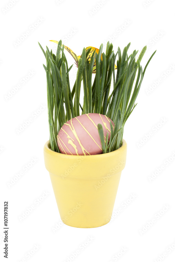 Fototapeta premium easter egg and green grass