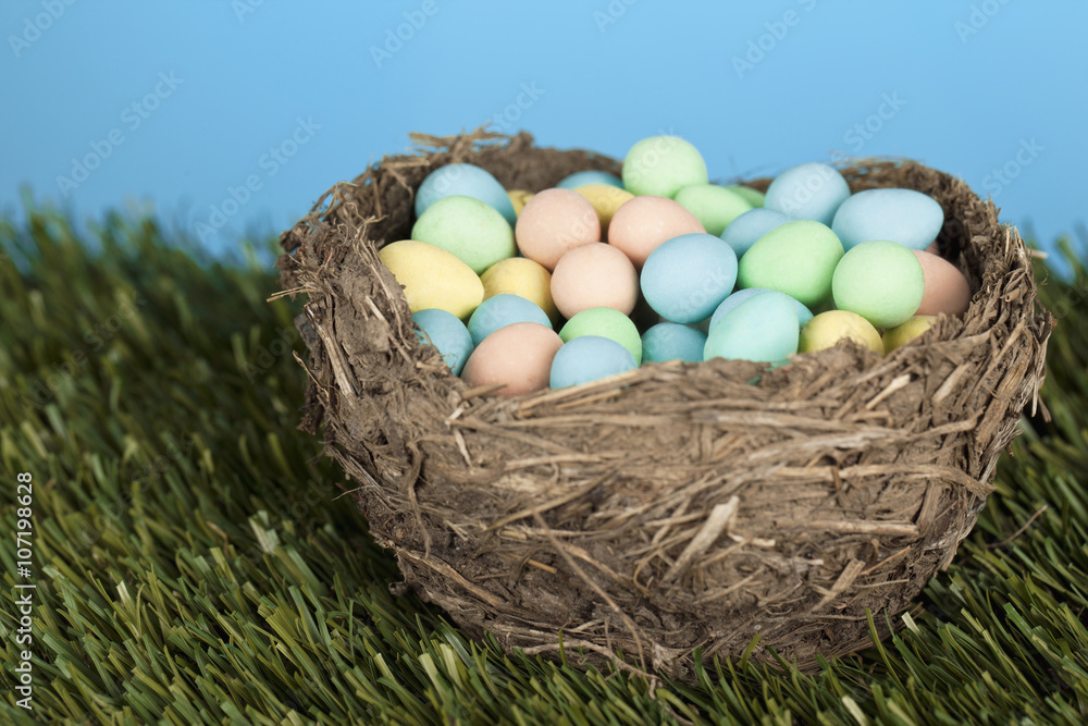 Fototapeta premium close-up image of nest with easter eggs