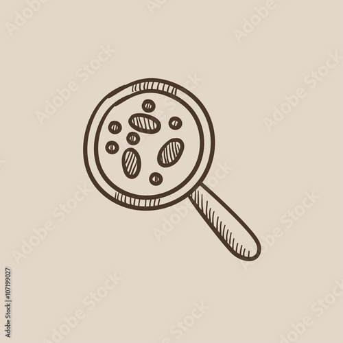 Microorganisms under magnifier sketch icon.