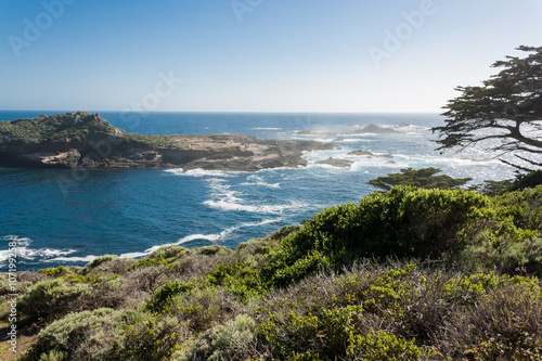 Point Lobos,California