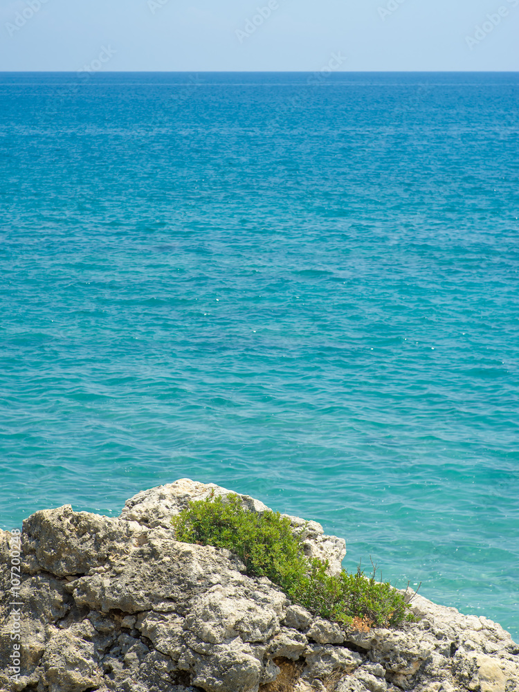 Tough Grass on Rough Rocks by Blue Mediterranean Sea in Summer