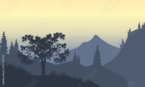 Silhouette of forest and mountain