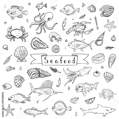 Photography Hand drawn doodle Seafood icons set Vector illustration seafood symbols collecti