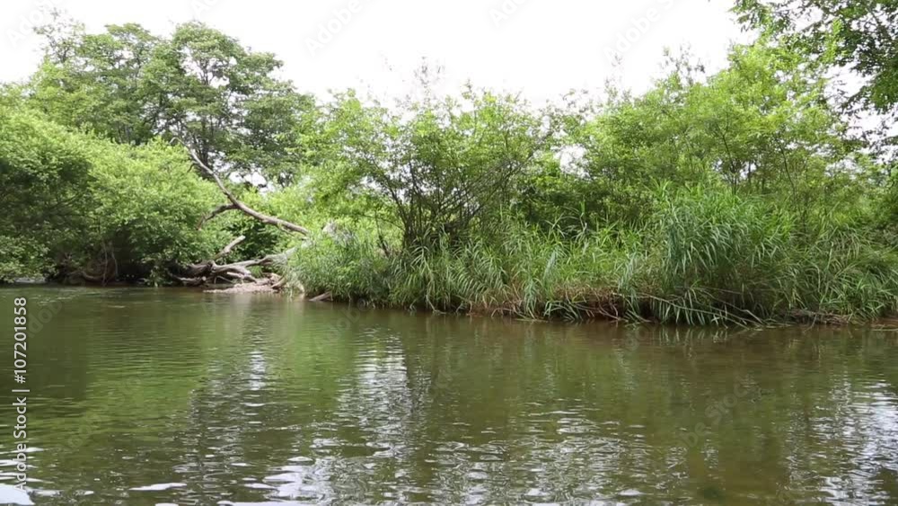Small river with clear water in summer. Sunny day Small river with clear water in summer. Sunny day