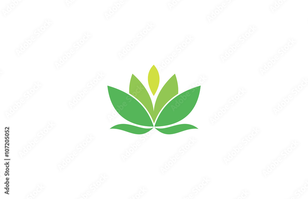lotus vector flower spa logo