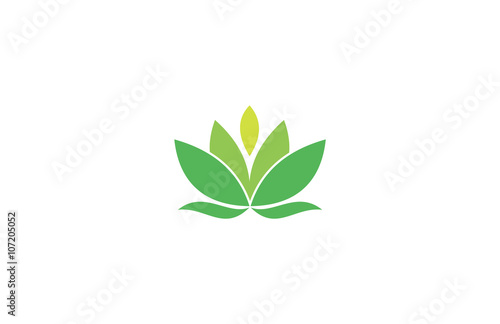 lotus vector flower spa logo