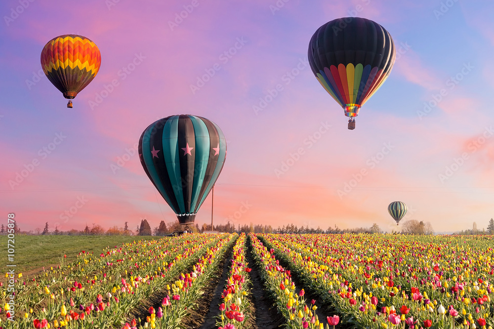 Naklejka premium Hot Air Balloons at Tulip Fields