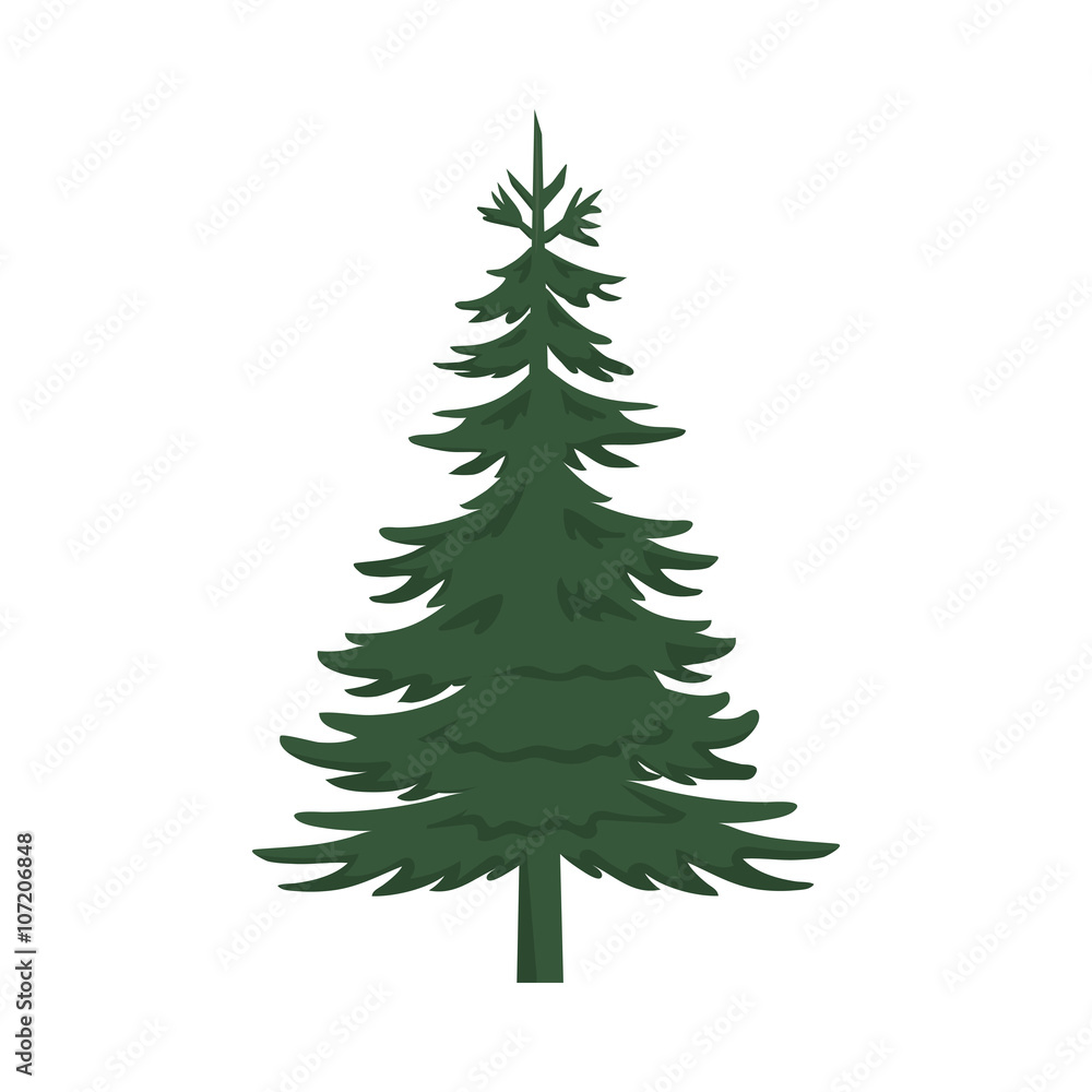 Pine Tree Pine Tree