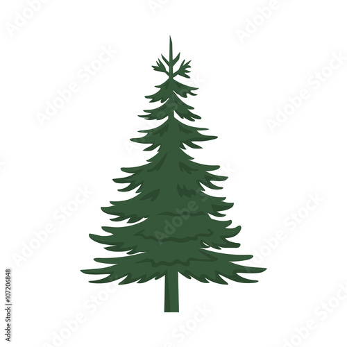 Pine Tree