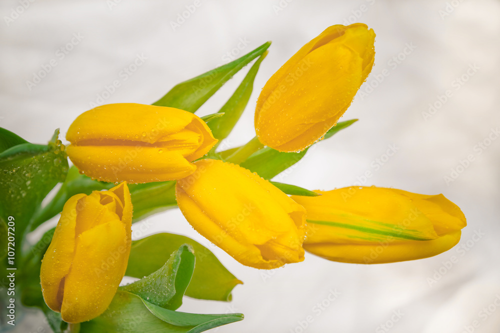 Obraz premium a bouquet of yellow tulips