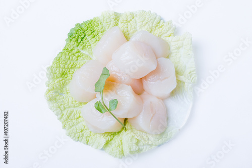 Fresh scallops