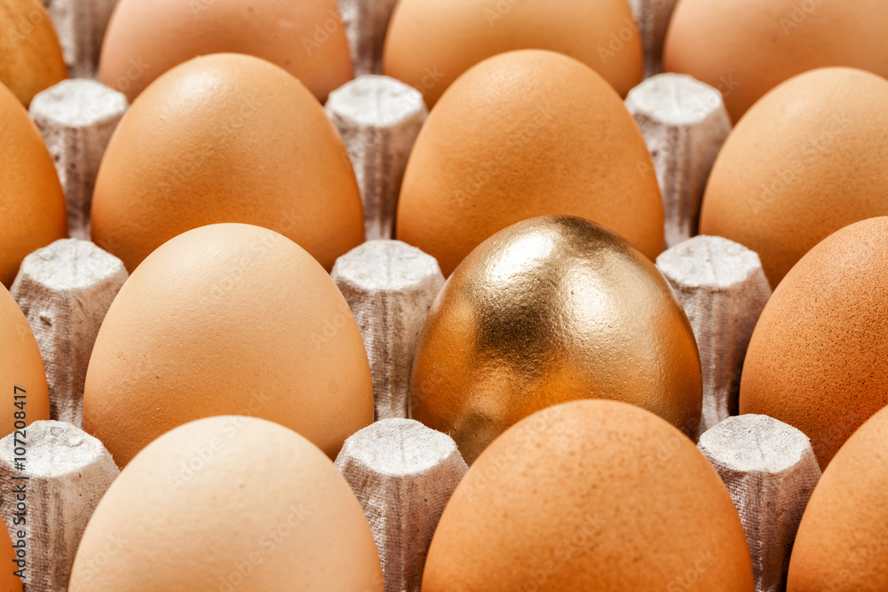 golden egg in a row of the brown eggs golden egg in a row of the brown eggs