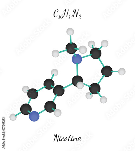 C10H14N2 nicotine molecule
