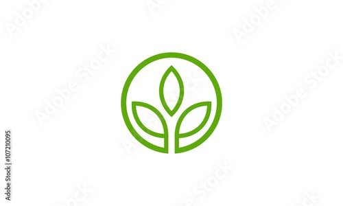 abstract green leaf company logo