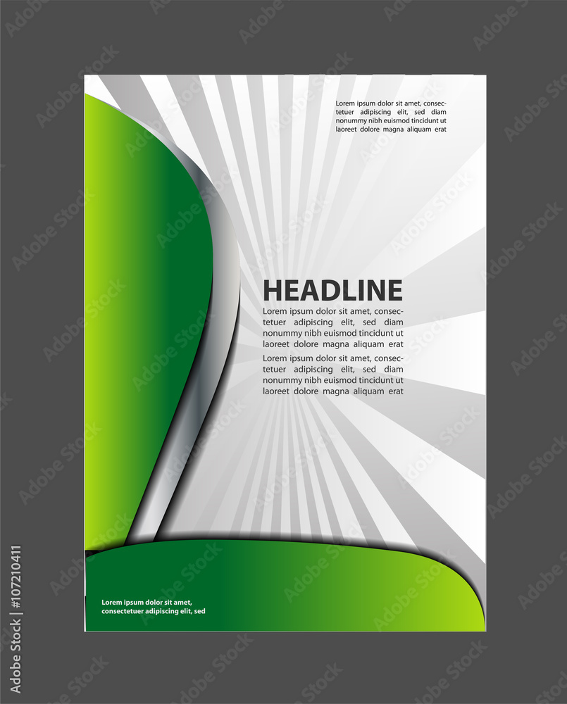 Fototapeta premium Vector Brochure Flyer design Layout template, size A4, Front page and back page 