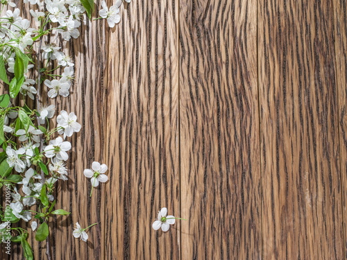 Blooming cherry twig over old wooden table.