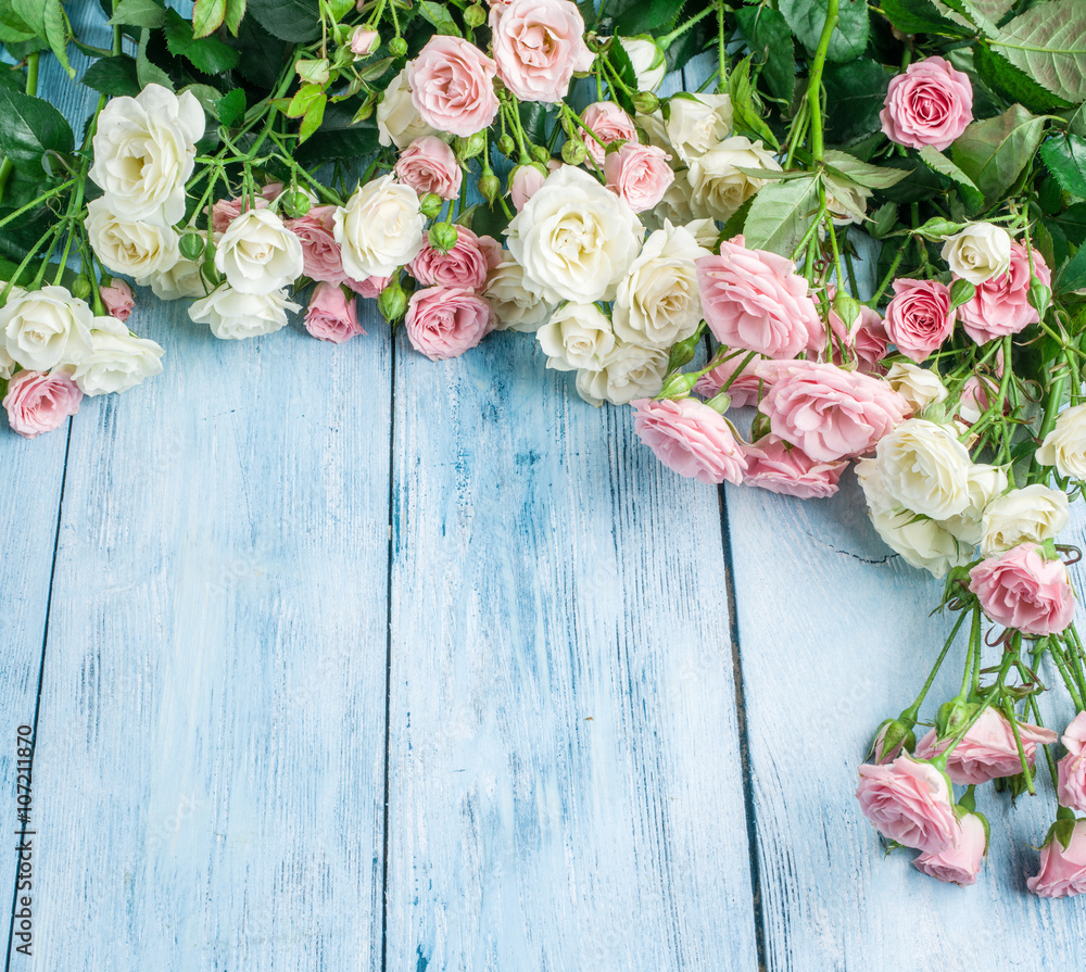 Fototapeta premium Delicate fresh roses on the blue wooden background.