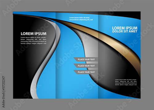 brochure design template vector tri-fold
