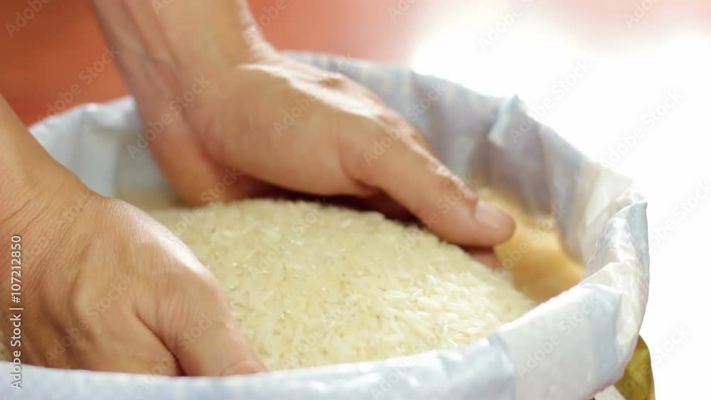 Rice grains in the hands. Man hands holding rice grain
Rice grains in the hands. Man hands holding rice grain