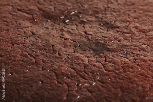 Close-up macro photograph of chocolate cake texture