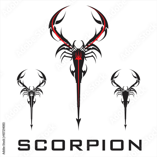 scorpion. elegant stylized scorpion in black and white.