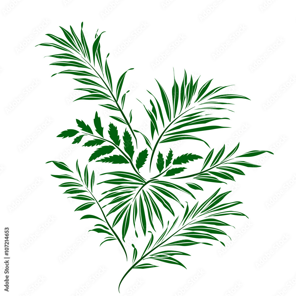 Palm leaves. Doodle style