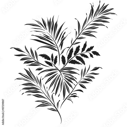 Palm leaves. Doodle style