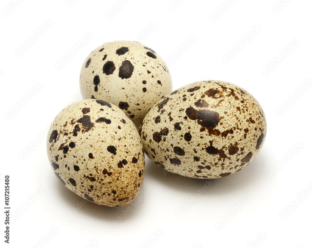 Quail eggs isolated on white background