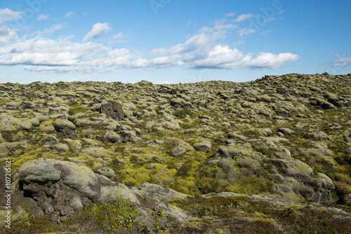 Landscape with lava field covered with moss, blue cloudy sky, Iceland