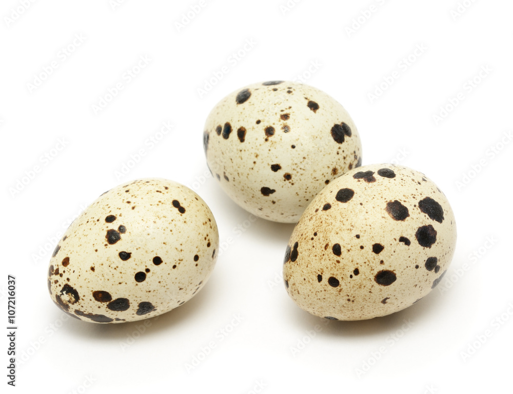 Quail egg isolated on white background Quail egg isolated on white background