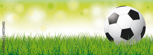 Football Grass Bokeh Green Header