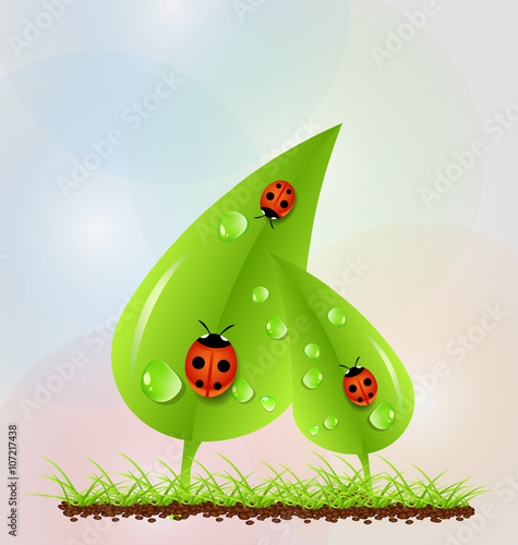 Green leaves with ladybugs and dew colorful background. Vector ecology concept. EPS 10.
