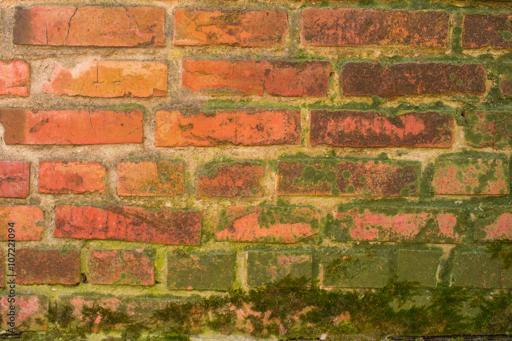 Old brick wall with plaster and decal Old brick wall with plaster and decal