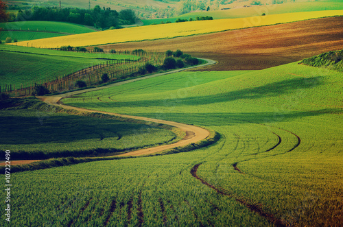 Rural landscape with green fields  road and waves  South Moravia  Czech Republic - natural seasonal retro hipster image