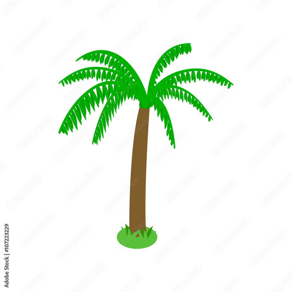 Obraz premium Palm tree icon, isometric 3d style