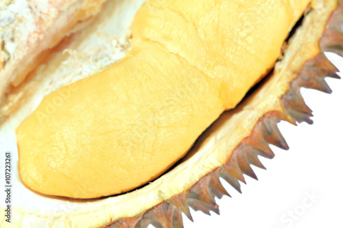 Durian isolated on white background