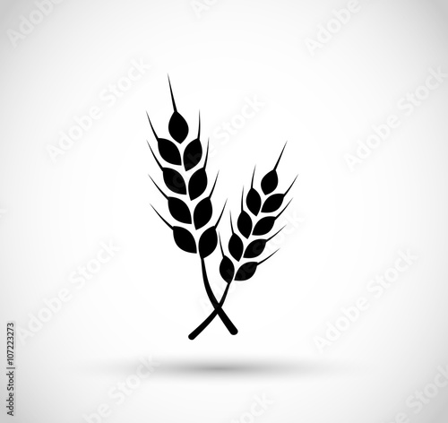 Wheat icon vector