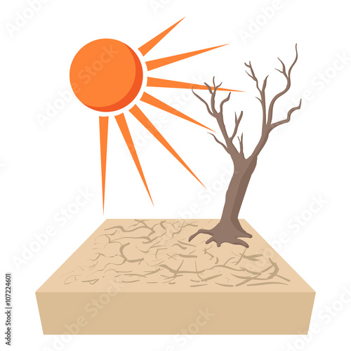 Lonely dead tree 