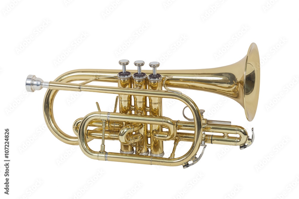 Naklejka premium classical wind musical instrument cornet isolated on white background